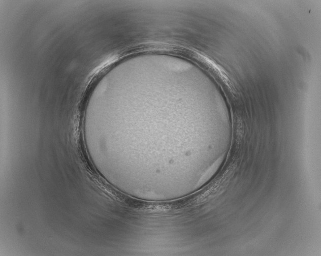 X0000115791411200912111139