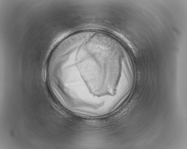 X0000115791413200912111139