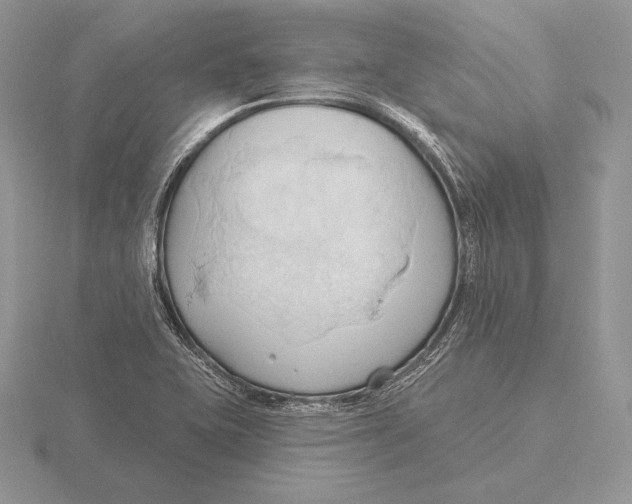 X0000115791415200912111139