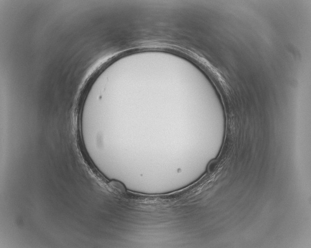 X0000115791416200912111139