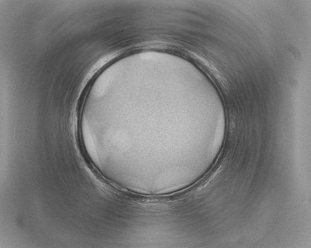 X0000115791418200912111139