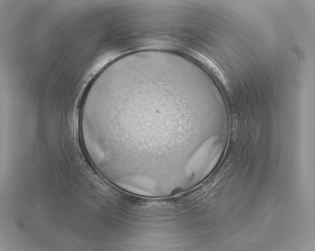 X0000115791419200912111139