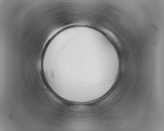 X0000115791420200912111139