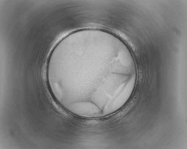 X0000115791421200912111139