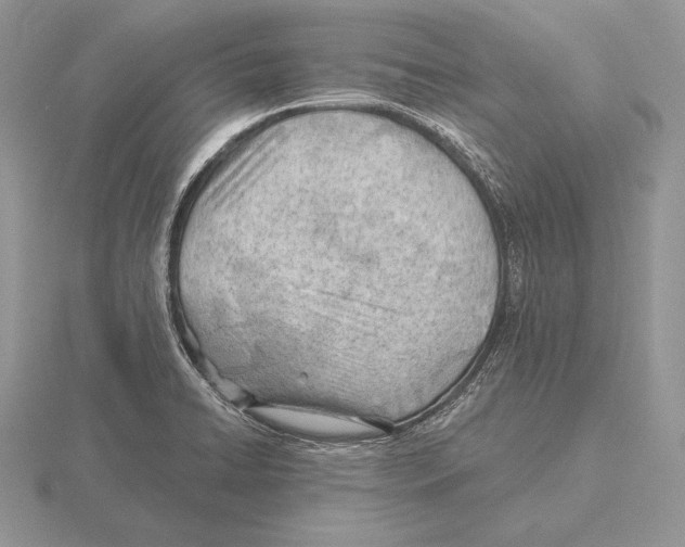 X0000115791422200912111139