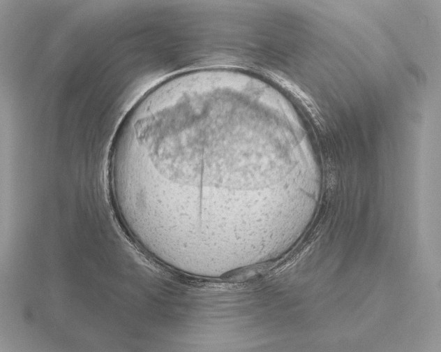 X0000115791423200912111139