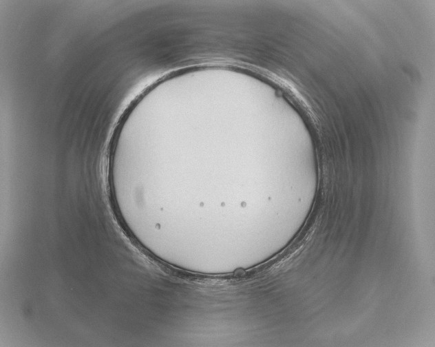 X0000115791424200912111139