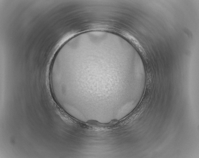 X0000115791427200912111139