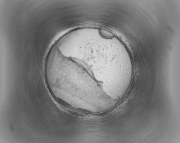 X0000115791429200912111139