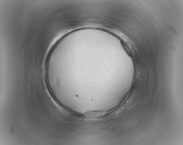 X0000115791430200912111139