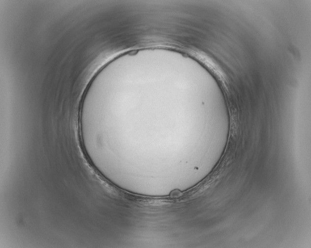 X0000115791431200912111139