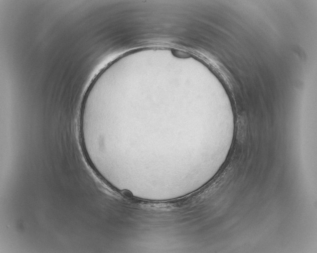 X0000115791432200912111139