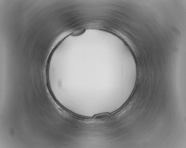 X0000115791434200912111139