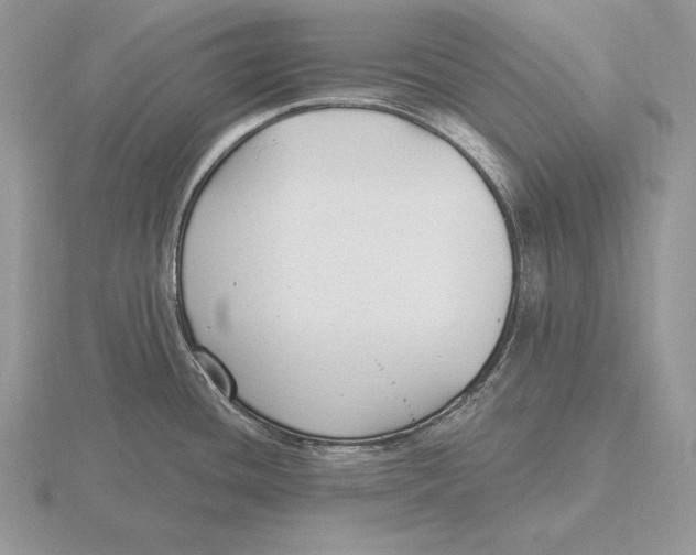 X0000115791436200912111139