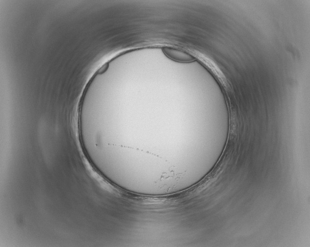 X0000115791439200912111139