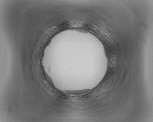 X0000115791441200912111138