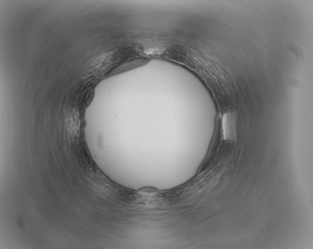 X0000115791443200912111138