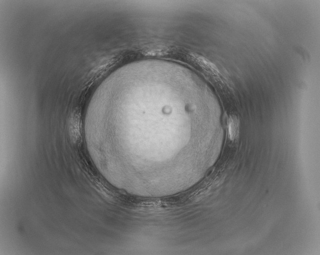 X0000115791444200912111138