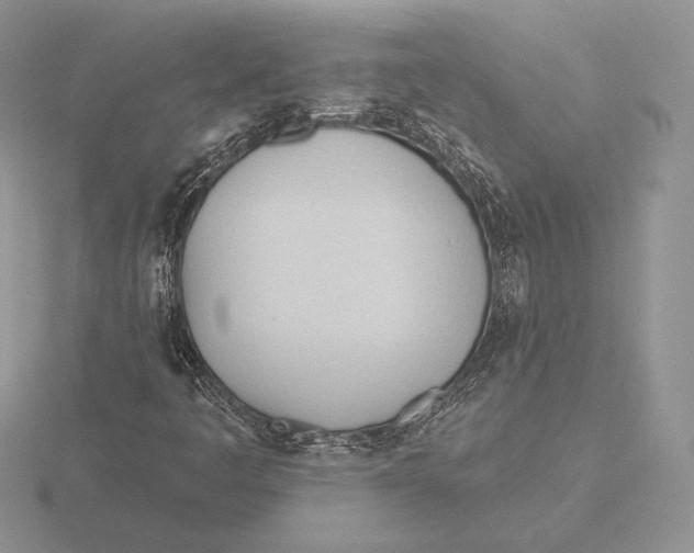 X0000115791445200912111138