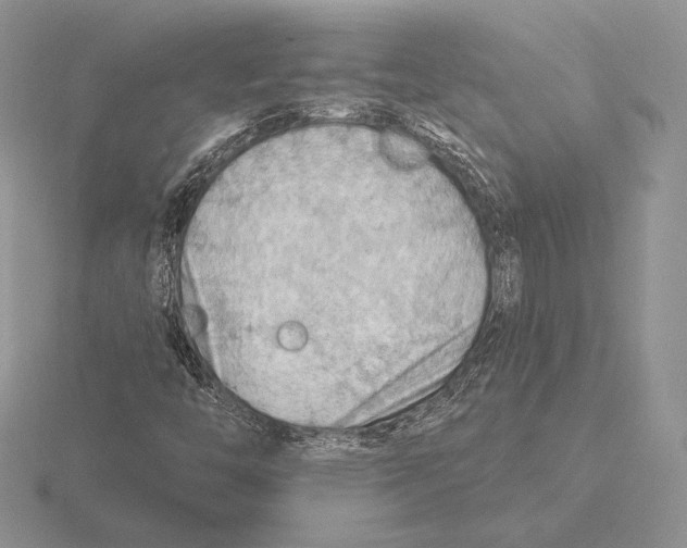 X0000115791446200912111138