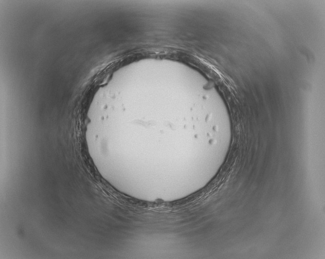 X0000115791447200912111138