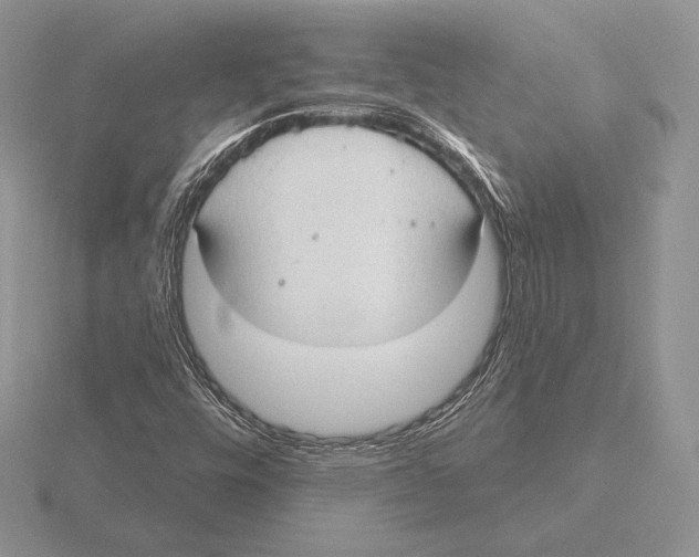 X0000115791448200912111138