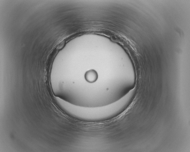 X0000115791449200912111138