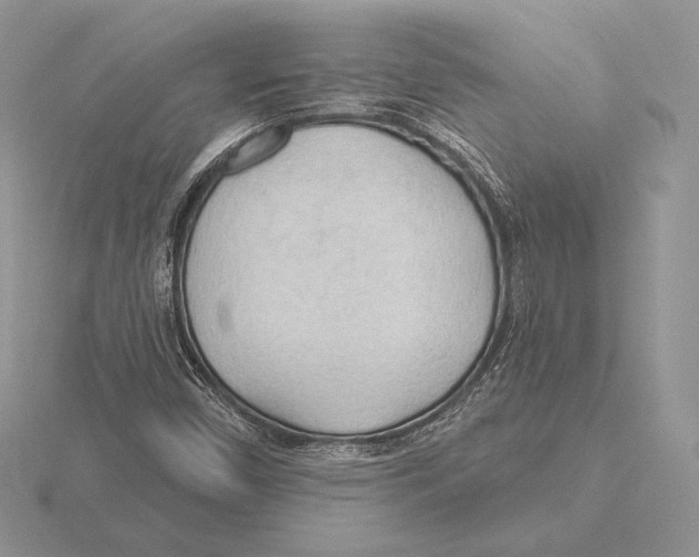 X0000115791450200912111138