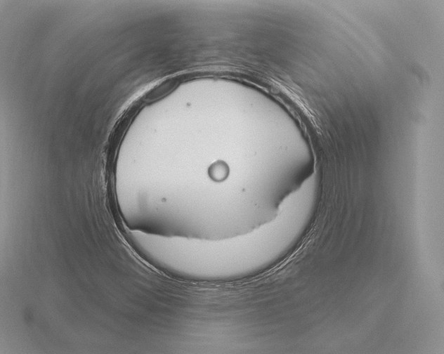 X0000115791452200912111138