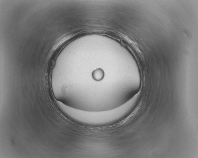 X0000115791453200912111138