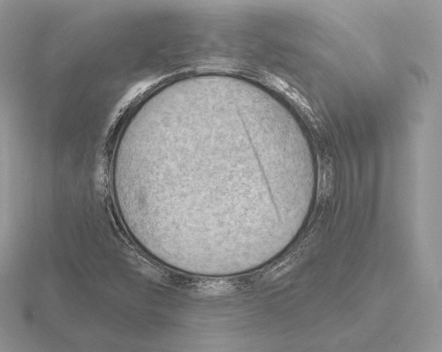 X0000115791454200912111138