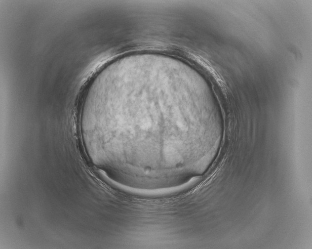 X0000115791455200912111138