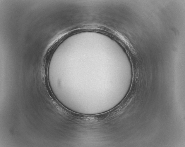 X0000115791456200912111138