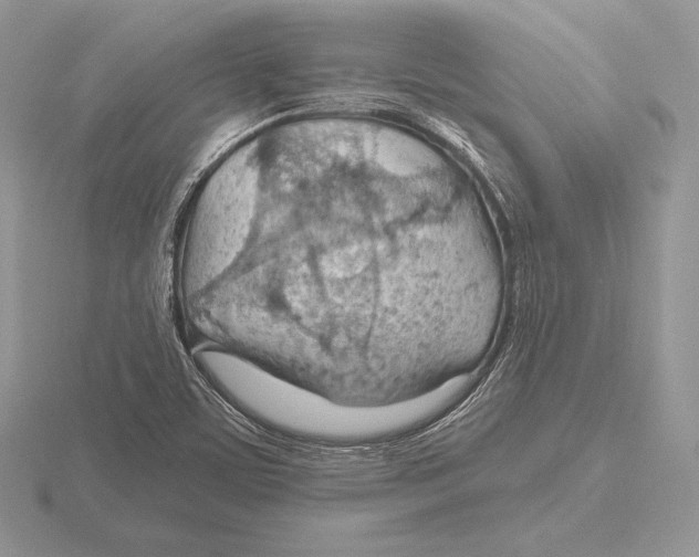 X0000115791459200912111138