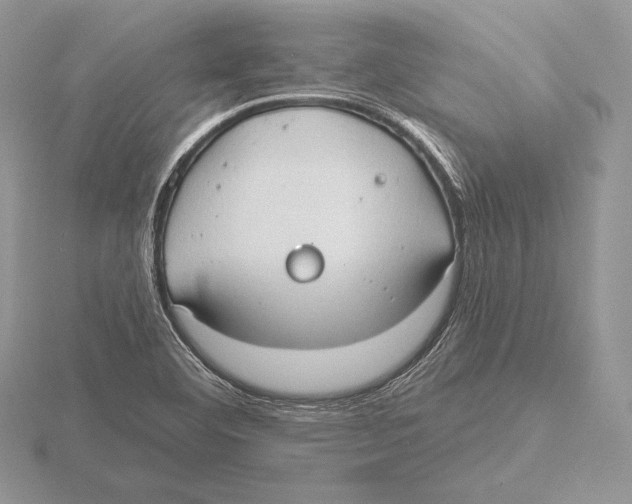 X0000115791460200912111138