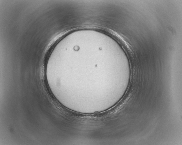 X0000115791461200912111138