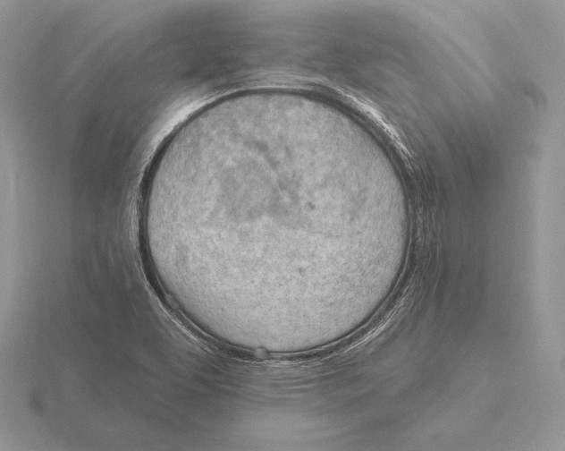 X0000115791463200912111138