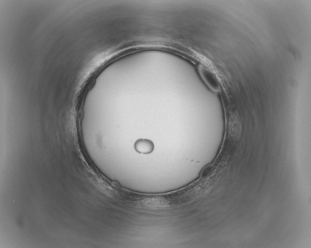 X0000115791464200912111138