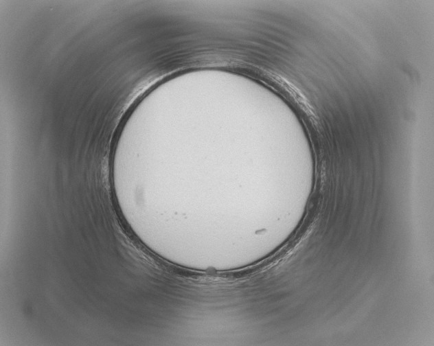 X0000115791465200912111138