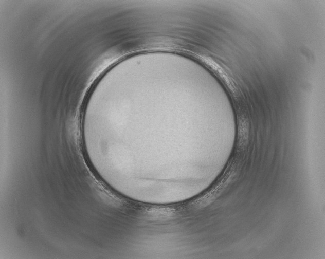 X0000115791466200912111138