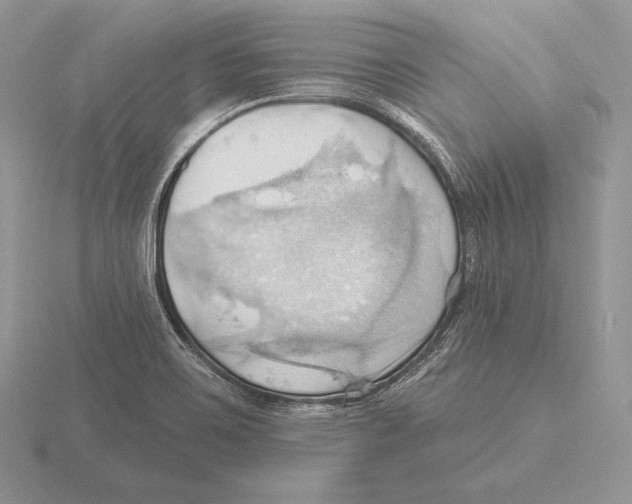 X0000115791467200912111138