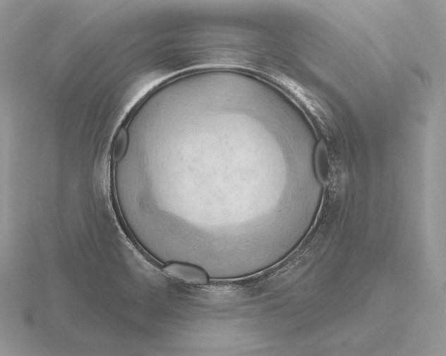 X0000115791468200912111138