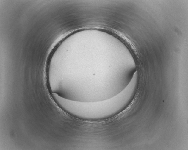 X0000115791469200912111138