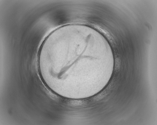 X0000115791470200912111138