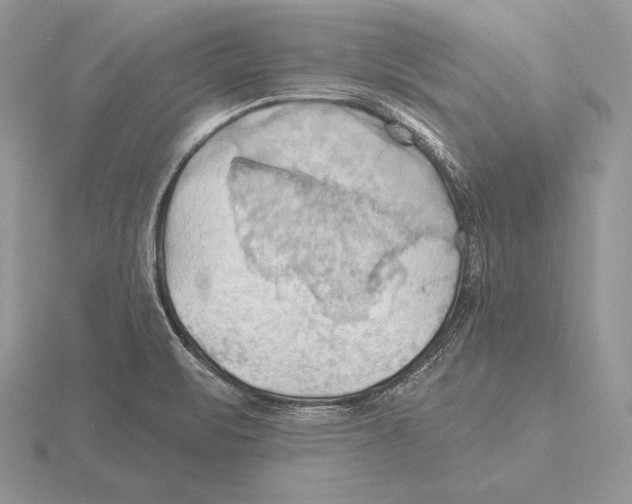 X0000115791471200912111138