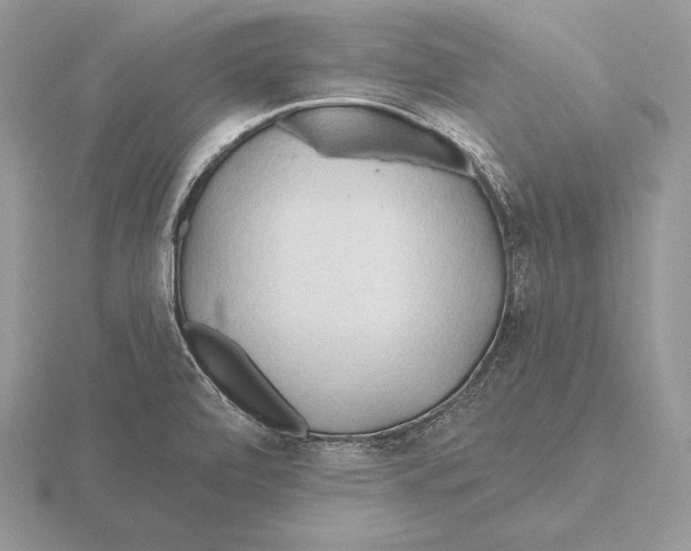 X0000115791472200912111138