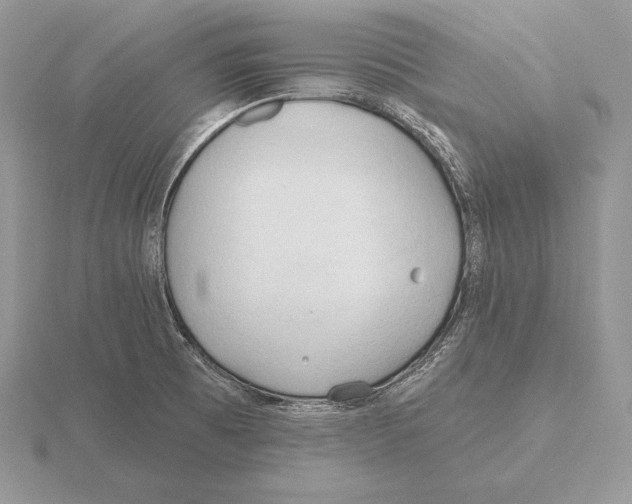 X0000115791473200912111138