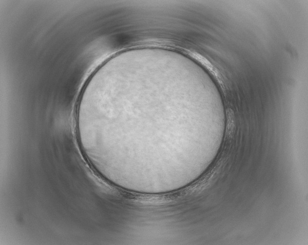 X0000115791474200912111138