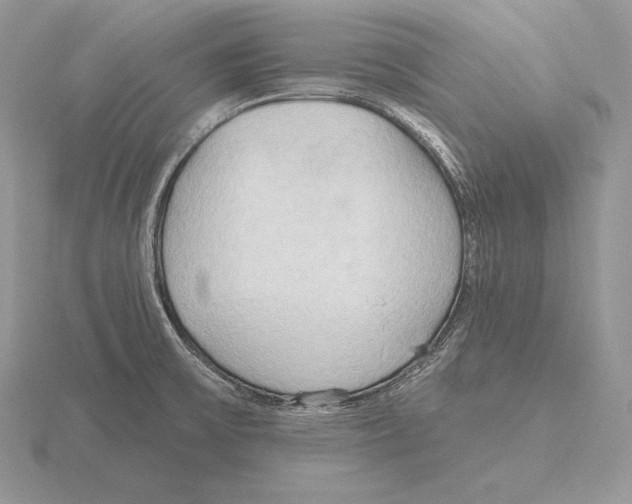 X0000115791475200912111138