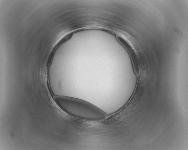 X0000115791476200912111138